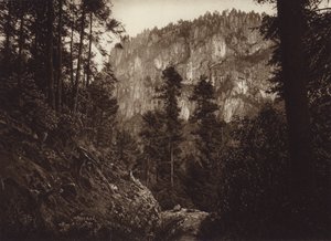 Mexiko: La Canada, Contreras, D F (čb fotografie)