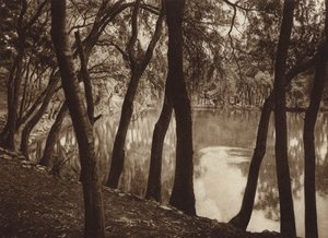 Mexiko: Las fuentes de Tlalpam D F (čb fotografie) od Hugo Brehme