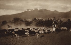 Mexiko: Okolí Amecameca (čb fotografie) od Hugo Brehme