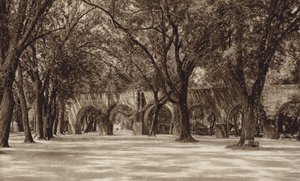 Mexiko: Morelia, Staré vodovodní potrubí (čb fotografie) od Hugo Brehme