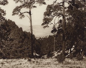 Mexiko: Divoké panorama na úpatí Pico de Orizaba (čb fotografie) od Hugo Brehme