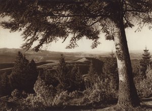 Mexiko: Národní park, Desierto de los Leones (čb fotografie) od Hugo Brehme