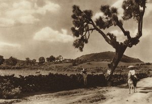 Mexiko: Patzcuaro, El Calvario, stát Michoacan (čb fotografie) od Hugo Brehme