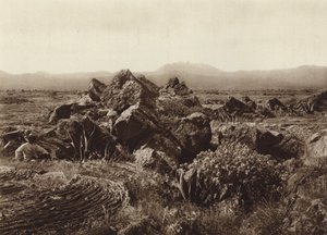 Mexiko: Pedregal, Corriente de basalto-lava u San Angel (čb fotografie) od Hugo Brehme