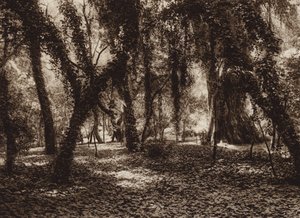 Mexiko: Idylické místo v parku Chapultepec (čb fotografie)