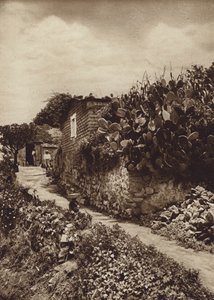 Mexiko: Malebné zákoutí v San Angel D F (čb fotografie)