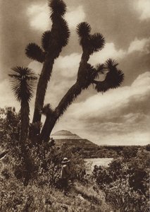 Mexiko: San Juan Teotihuacan, Piramide del Sol (čb fotografie) od Hugo Brehme