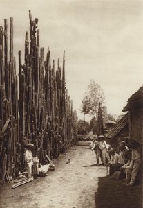 Mexiko: Santiago, charakteristická vesnická ulice s kaktusy ve tvaru sloupů (čb fotografie) od Hugo Brehme