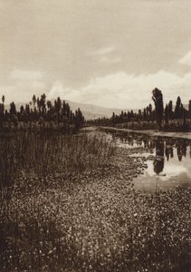 Mexiko: Xochimilco, jeden z hlavních kanálů (čb fotografie)