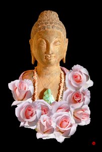 BUDDHA od Hugo Nefe