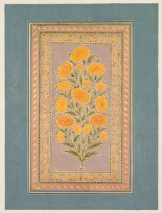 Měsíček kvetoucí, c. 1765. od Hunhar II