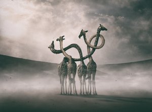  od Hussain Buhligaha
