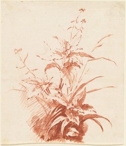 Kvetoucí rostlina s trávou od I Jean Baptiste Hüet