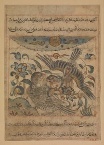 Pár orlů, Folio z Manafi