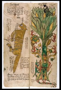 Vlk Fenrir a světový strom Yggdrasil, 1680