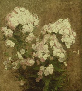 Phlox, 1870 od Ignace Henri Jean Fantin-Latour