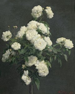 Zátiší bílých pivoněk, 1870