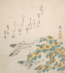 Ryby plavání se žlutými květy, ca. 1830. od Ikeda Eisen