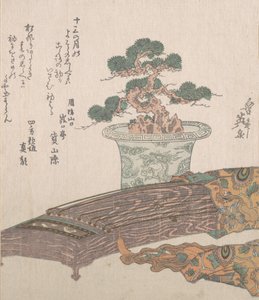 Hrnková borovice a japonská harfa Koto, 19. století.