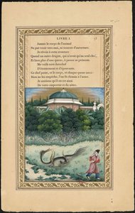 Mnohohlavý drak a mnohoocasý drak, 1837-1839.