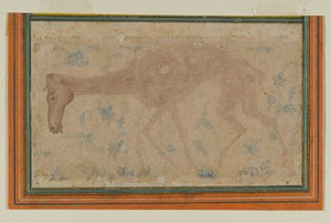 Vyhublý kůň, z Mughal nebo Deccan, polovina 17. století (inkoust a barva na papíře) od Indian School