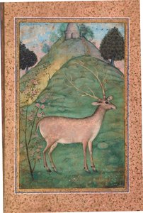 Buck in a Landscape, cca 1595 (neprůhledné wc a zlato na papíře) od Indian School