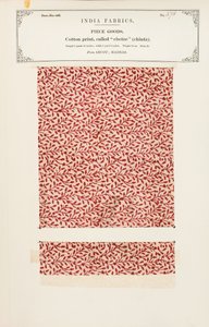 Bavlněný vzorek s potiskem chetee (chintz) z Arcotu v Madrásu, ze sbírky The Collection of the Textile Manufacturers of India od Johna Forbese Watsona, vydané v roce 1866. od Indian School