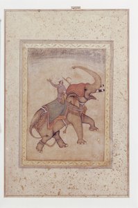 Slon a mahut (řidič slona), ca.
1595-1600 (neprůhledný akvarel, tuš a zlato na papíře) od Indian School