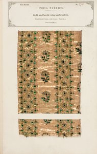 Vzorek výšivky zlatých a broučích křídel z Madrasu, z „The Collection of the Textile Manufacturers of India“, od Johna Forbese Watsona, publikované v roce 1866 (kombinovaná média) od Indian School