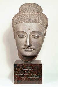 Hlava od sochy Buddhy, z Gandhara, severozápadní Indie (šedá břidlice)