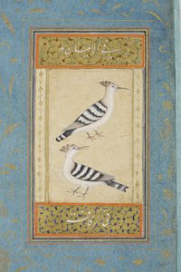 Dudci, cca 1590 (neprůhledné wc a zlato na papíře) od Indian School