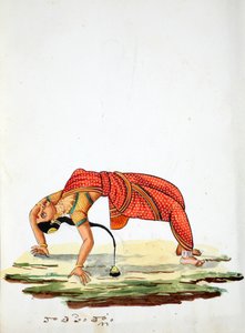 Indka tančí (wc na papíře) od Indian School