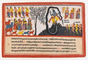 Krišna dobývá hada Káliju, stránka ze série Dispersed Bhagavata Purana Series, cca 1775 (neprůhledné wc a zlato na papíře) od Indian School