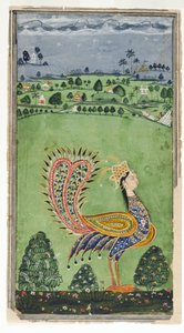 Mýtický páv s ženskou hlavou, Hajdarábád, kolem roku 1750 od Indian School
