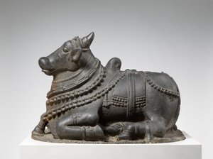 nandi (žula) od Indian School