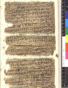 OMS OR 14915 f.5r Rukopis fragmentů březové kůry v Kharoṣṭi od Indian School