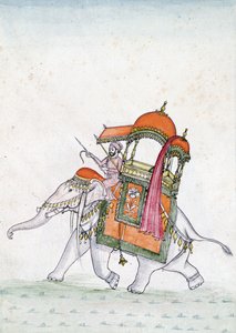 Portrét muže jedoucího na slonovi, počátek 19. století (wc na papíře) od Indian School