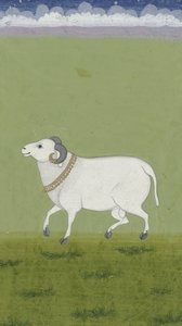 Beran se zlatým límcem, 1700-1799 od Indian School
