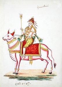 Shiva nasedl na býka, Nandi (wc na papíře) od Indian School
