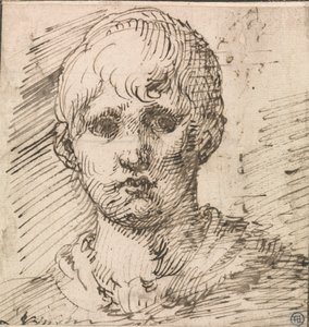 Hlava chlapce od Inigo Jones