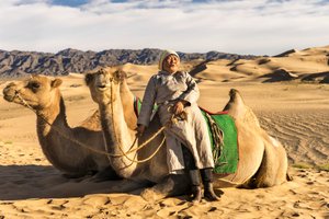 Žena odpočívá s velbloudy v poušti Jižní Gobi, Mongolsko., 2015 (foto) od Ira Block
