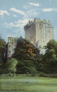 Blarney Castle, Cork od Irish Photographer