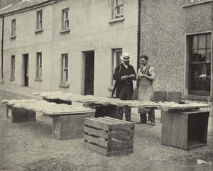 Výroba hliněných trubek, Drogheda (černobílá fotografie) od Irish Photographer