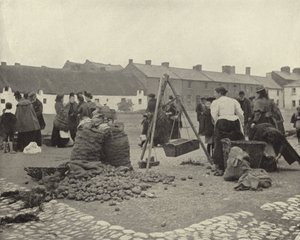 Bramborový trh, Drogheda (černobílá fotografie) od Irish Photographer