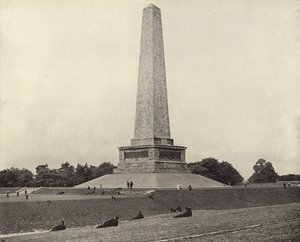 The Wellington Testimonial, Phoenix Park (černobílá fotografie) od Irish Photographer