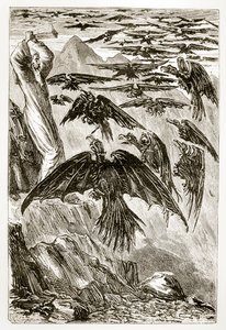 Svatý Patrik a démoni ptáci, z knihy Trias Thaumaturga neboli Tři zázrační svatí z Irska, od Mary Cusack (1829-99), publikováno kolem 90. let 19. století od Irish School