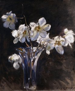 Magnolie ve váze