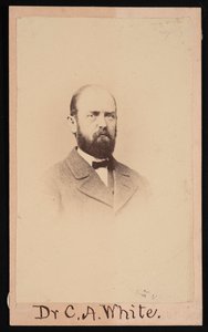 Portrét Charlese Abiathara Whitea 1826-1910, 1868. od Isaac Augustus Wetherby