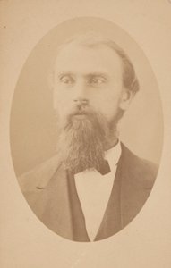 Portrét Gustava Detlefa Hinrichse 1836-1923, 1872. od Isaac Augustus Wetherby