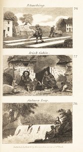 Obchody v Regency Ireland: bělení, irská kabina a lososí skok od Isaac Taylor